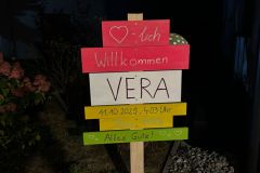 WhatsApp-Image-2025-10-24-at-17.38.44-1