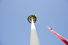 1_DSC_0548