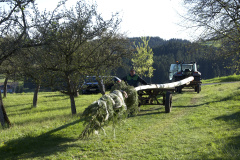 DSC_0338-Kopie