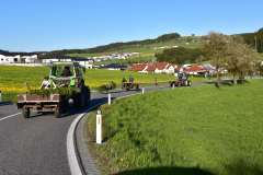 DSC_0376