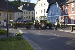 DSC_0441
