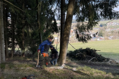 IMG_4590